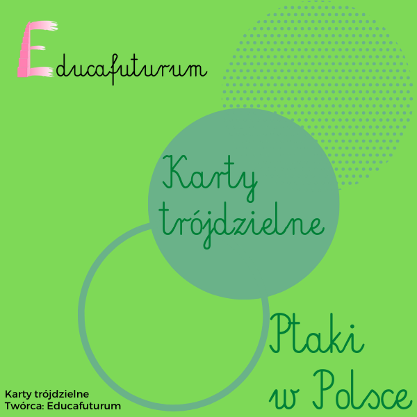 Karty trójdzielne - Ptaki w Polsce - zestaw