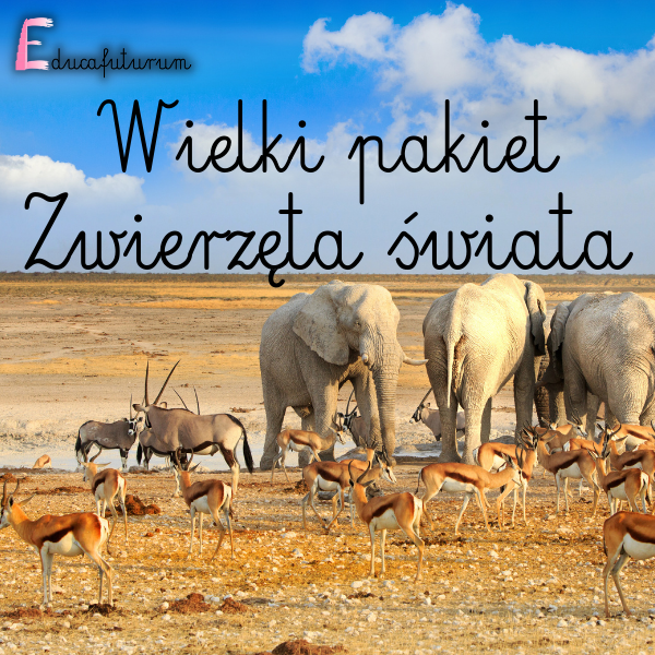 Wielki pakiet Zwierzęta Świata