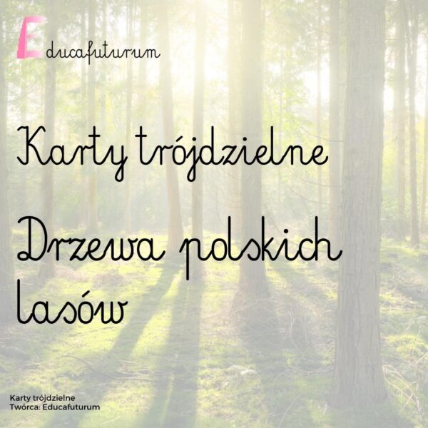Karty trójdzielne – drzewa polskich lasów
