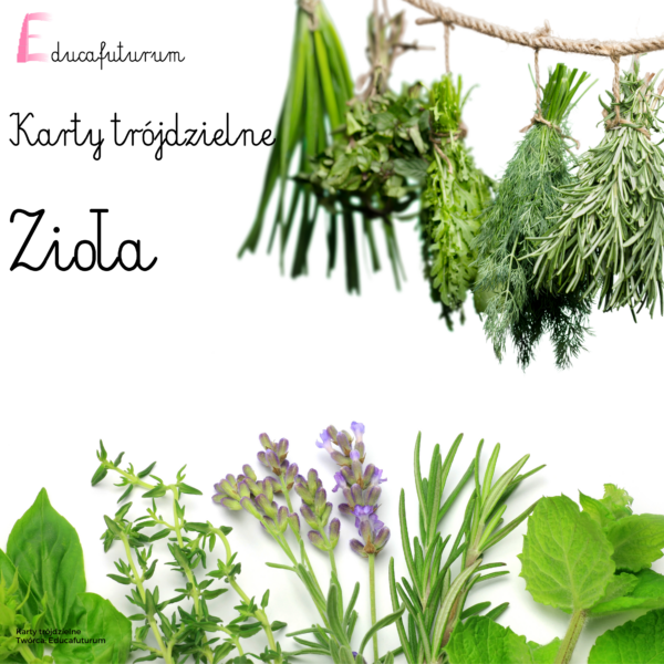 Karty trójdzielne - Zioła